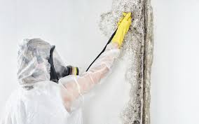 Best Dehumidification Services  in Lavallette, NJ